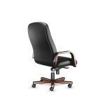 صندلی کارشناسی اروند 2016