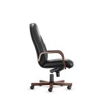 صندلی کارشناسی اروند 2016