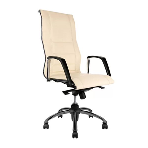 صندلی مدیریتی اداری لیو مدل B81tm